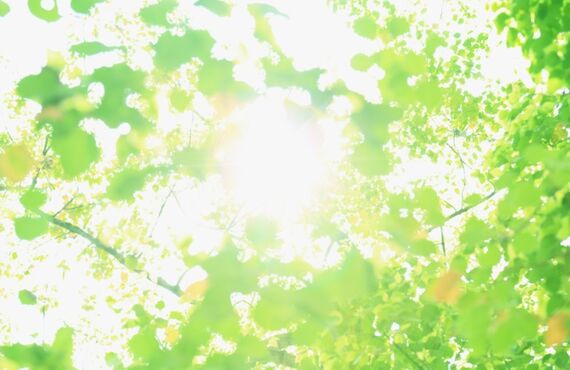 兵庫県内で一戸建ての外壁塗装のことならリフォーム革命がリフォーム会社をご紹介！